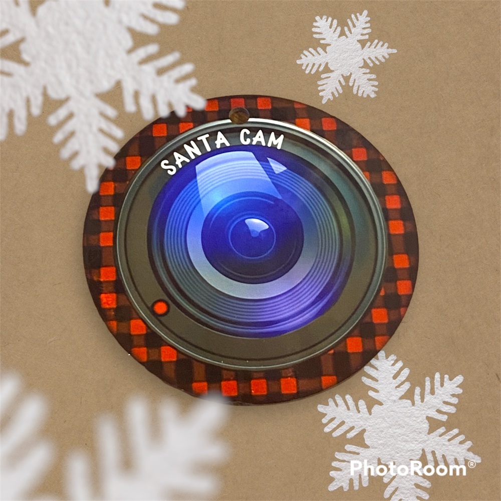 Santa Can Christmas Ornament